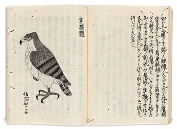 (JAPAN -- HUNTING.) Illustrated manuscript album of falconry, trapping, and butchering techniques.